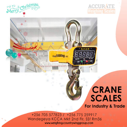 Digital Crane Hang weighing Scale 300kg in Kampala