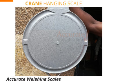 Crane-Scale-11-jpg