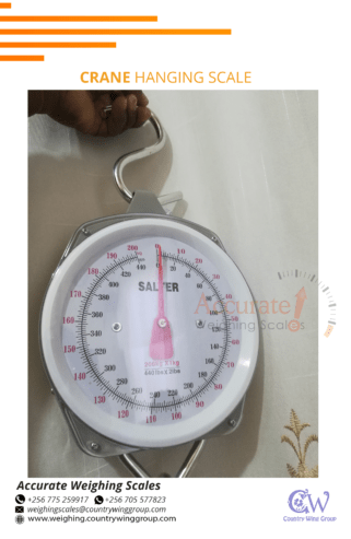 Portable dial crane hanging scale with stainless steel