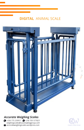 Double deck design heavy duty structure animal scales