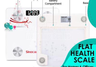 FLAT-HEALTH-SCALE-3