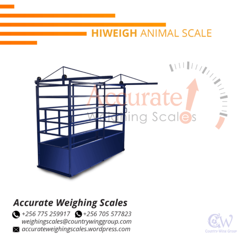 Veterinary weighing scale with stable rubber feet