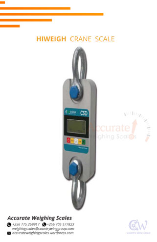 Digital crane weighing scale with optional hanging pan