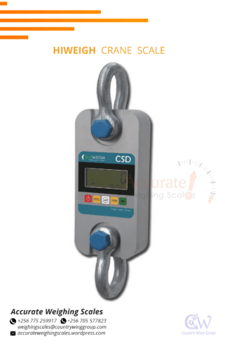 300kg digital crane weighing scale stainless steel hook