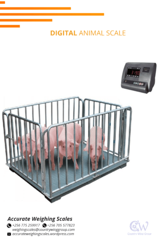 Animal weighing scale with bottom protect plates by animal