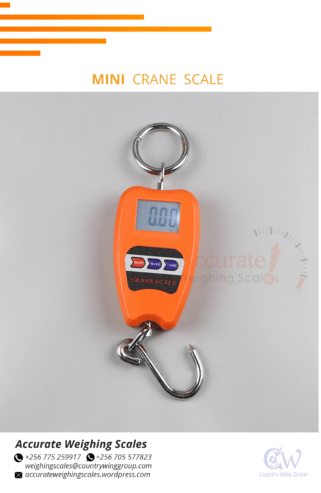 Mini Crane weighing Scale Industrial digital type in Kampala