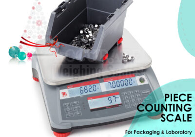 PIECE-COUNTING-SCALE-18