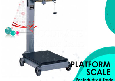 PLATFORM-WEIGHING-SCALE-1