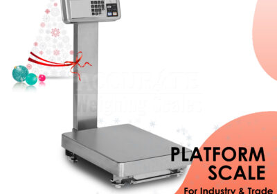 PLATFORM-WEIGHING-SCALE-16