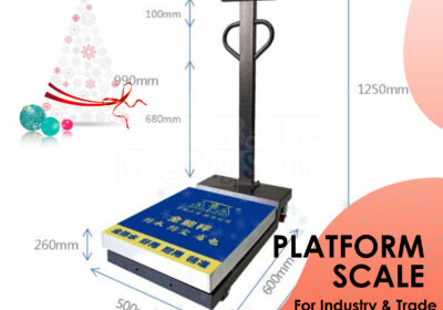 PLATFORM-WEIGHING-SCALE-19