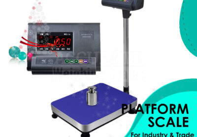 PLATFORM-WEIGHING-SCALE-26