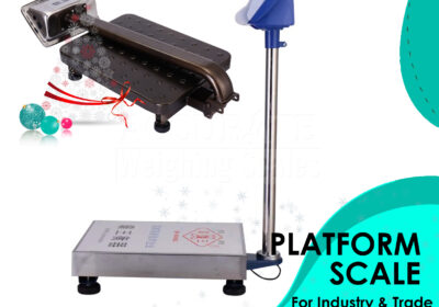 PLATFORM-WEIGHING-SCALE-31