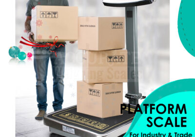 PLATFORM-WEIGHING-SCALE-34-1