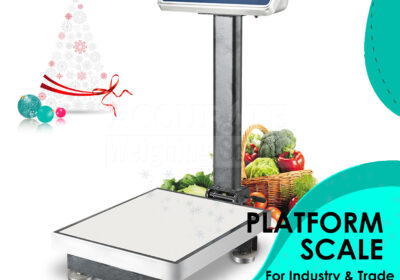 PLATFORM-WEIGHING-SCALE-35