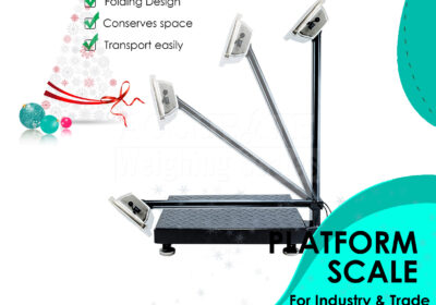 PLATFORM-WEIGHING-SCALE-4