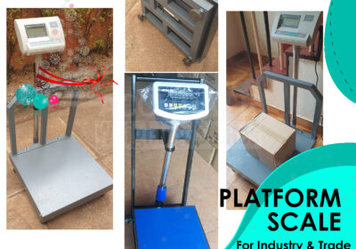 PLATFORM-WEIGHING-SCALE-41