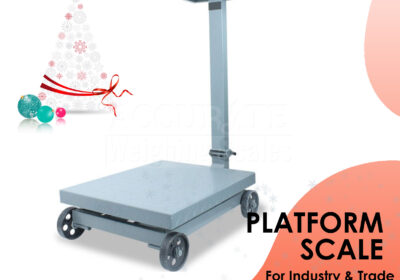 PLATFORM-WEIGHING-SCALE-6