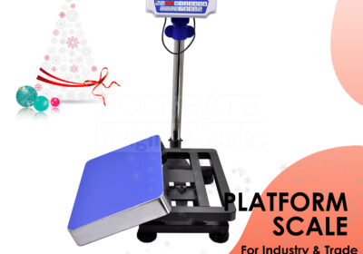 PLATFORM-WEIGHING-SCALE-8