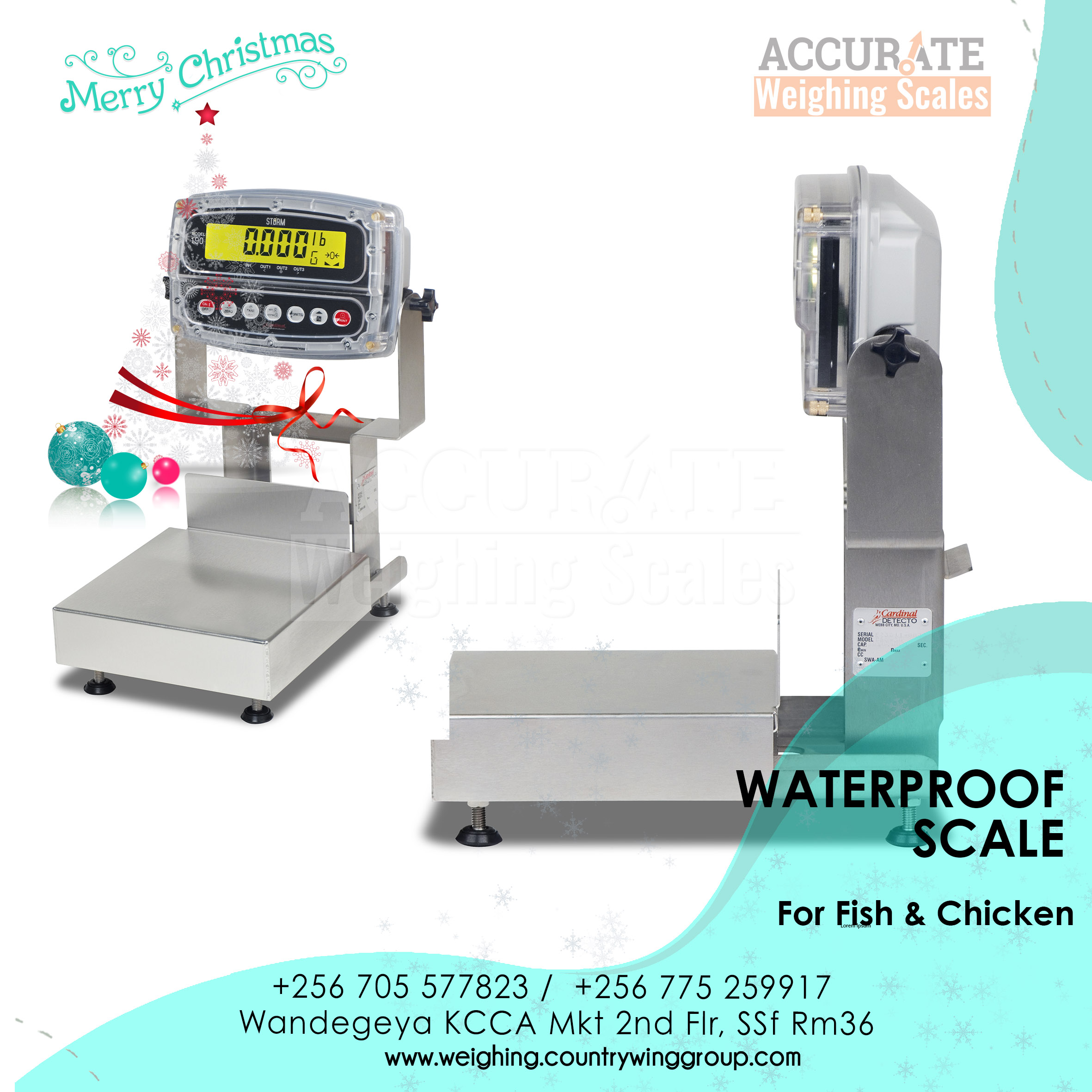 compact Waterproof Scale 30kg capacity digital type