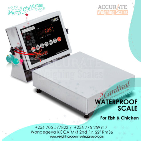 digital Heavy-duty waterproof scale with Hygienic design