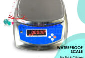 double LED display table top digital weighing scale