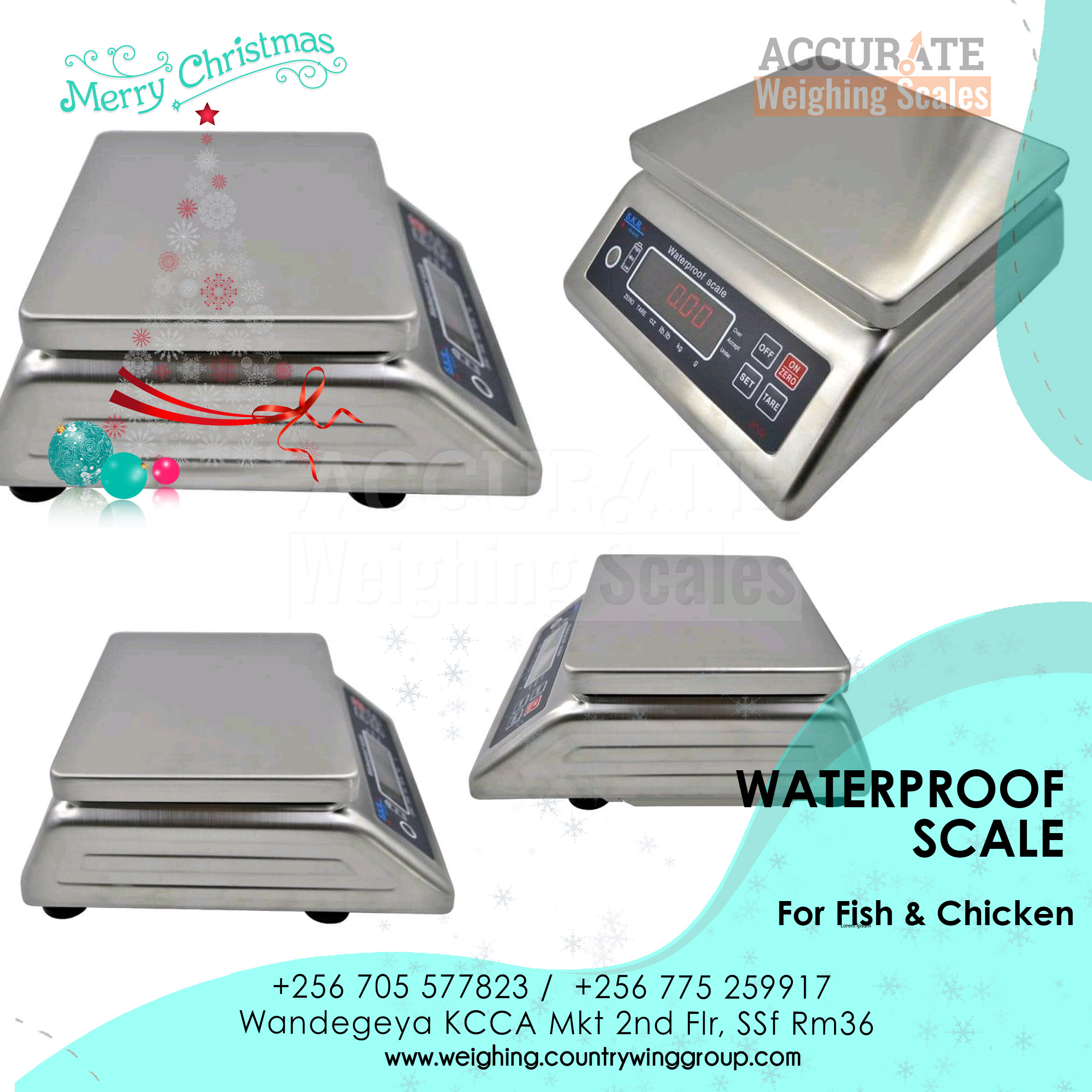 portable table top weighing wash down Scale-stainless steel