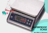 table top rustproof weighing scales for seafood markets use