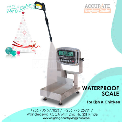 electronic waterproof housing scales 30kg weight WPS model