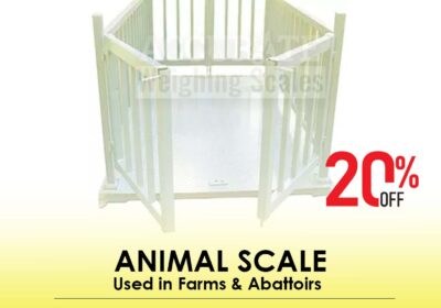 animal-scale-10