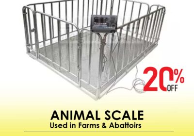 animal-scale-11-1