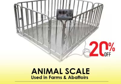 animal-scale-11