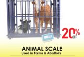 Veterinary Livestock animal scale supplier in Kampala