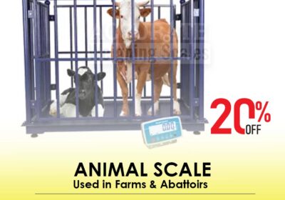animal-scale-12