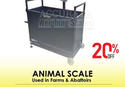 animal-scale-16