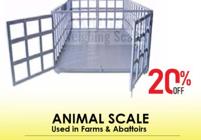 animal-scale-17