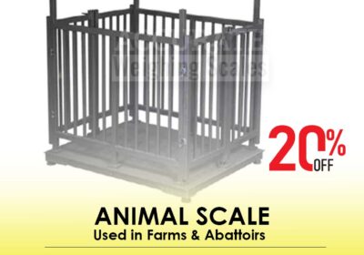 animal-scale-18