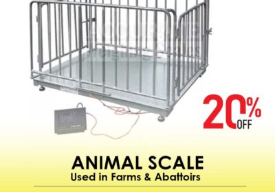 animal-scale-19