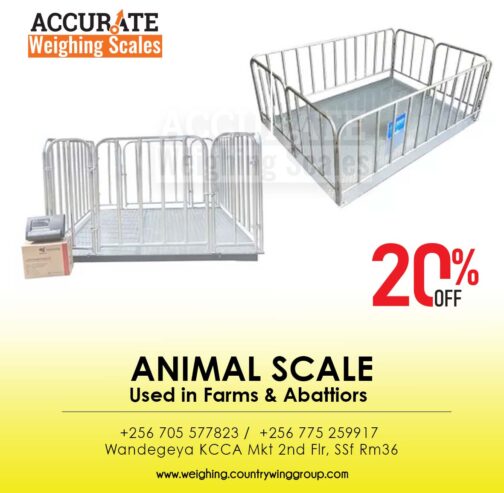 Top suppliers of digital Animal Weighing scales in Uganda