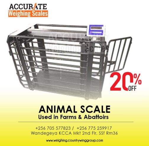 Accurate Livestock animal weighing scales supplier In Uganda