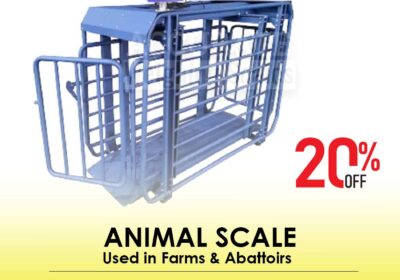 animal-scale-27