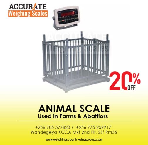 Best electronic Animal weighing scales in Kampala