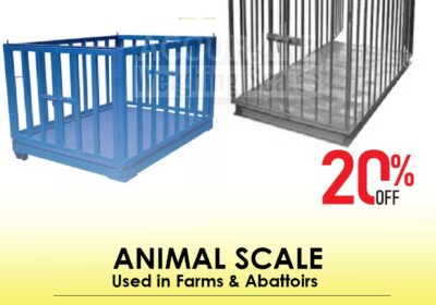 animal-scale-30