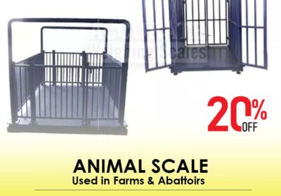 animal-scale-31