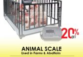 Best electronic Animal weighing scales in Kampala