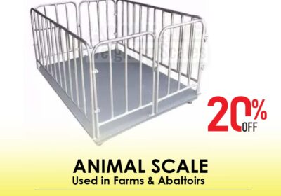 animal-scale-5