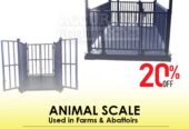 Electronic Livestock animal weighing scales in Uganda