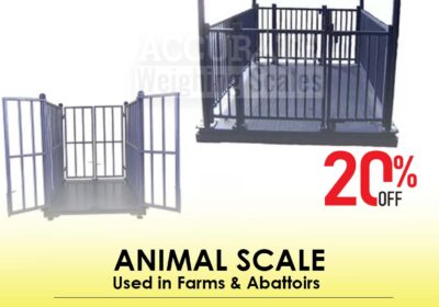 animal-scale-7