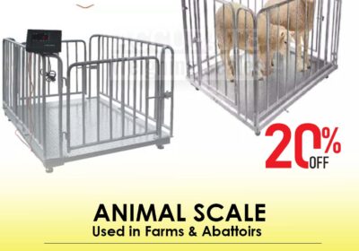 animal-scale-8-1