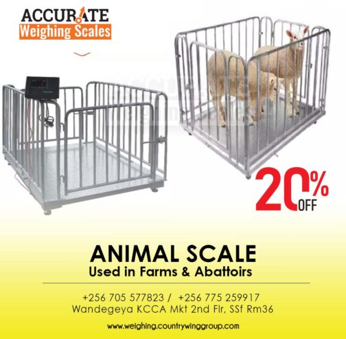 Animal weighing scale with optional Bluetooth output
