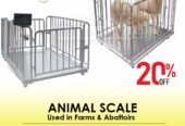 Electronic Livestock animal weighing scales in Uganda